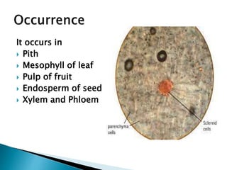 It occurs in
 Pith
 Mesophyll of leaf
 Pulp of fruit
 Endosperm of seed
 Xylem and Phloem
 