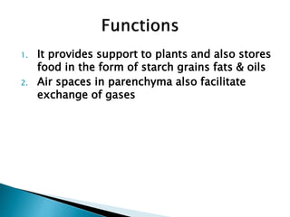 1. It provides support to plants and also stores
food in the form of starch grains fats & oils
2. Air spaces in parenchyma also facilitate
exchange of gases
 