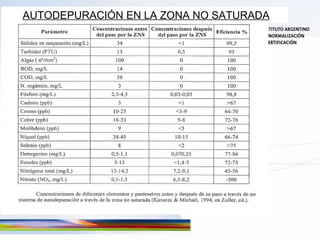 AUTODEPURACIÓN EN LA ZONA NO SATURADA 