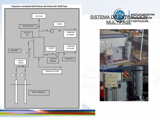 SISTEMA DE EXTRACCIÓN MULTIFASE 