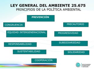 LEY GENERAL DEL AMBIENTE 25.675   PRINCIPIOS DE LA POLÍTICA AMBIENTAL PREVENCIÓN  CONGRUENCIA   PRECAUTORIO  EQUIDAD INTERGENERACIONAL PROGRESIVIDAD RESPONSABILIDAD  SUBSIDIARIEDAD SUSTENTABILIDAD  SOLIDARIDAD  COOPERACIÓN  