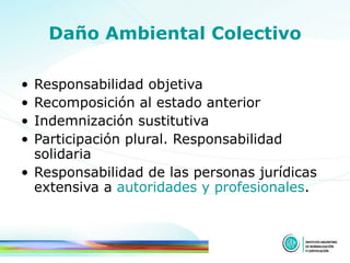 Daño Ambiental Colectivo Responsabilidad objetiva Recomposición al estado anterior  Indemnización sustitutiva Participación plural. Responsabilidad solidaria  Responsabilidad de las personas jurídicas extensiva a  autoridades y profesionales . 