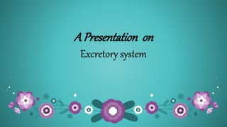 A Presentation on
Excretory system
 