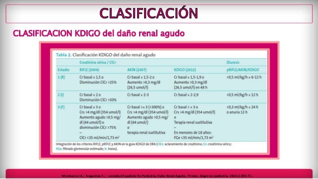 Insuficiencia Renal Aguda en Pediatria