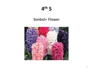 4th S
Sonbol= Flower
72
 