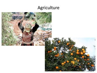 Agriculture
 