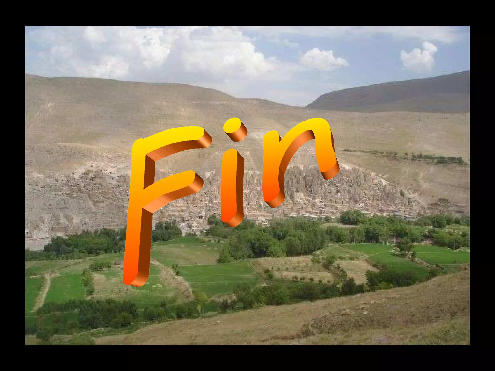 Fin