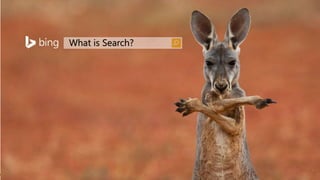 What is Search?
 