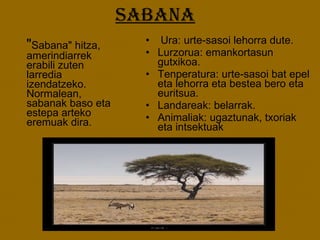 SABANA " Sabana" hitza, amerindiarrek erabili zuten larredia izendatzeko. Normalean, sabanak baso eta estepa arteko eremuak dira. Ura: urte-sasoi lehorra dute.  Lurzorua: emankortasun gutxikoa.  Tenperatura: urte-sasoi bat epel eta lehorra eta bestea bero eta euritsua.  Landareak: belarrak.  Animaliak: ugaztunak, txoriak eta intsektuak 