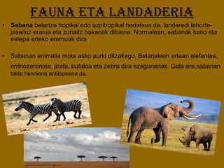 FAUNA ETA LANDADERIA Sabana  belartza tropikal edo azpitropikal hedatsua da, landaredi lehorte-jasailez eratua eta zuhaitz bakanak dituena. Normalean, sabanak baso eta estepa arteko eremuak dira. Sabanan animalia mota asko aurki ditzakegu. Belarjaleen artean elefantea, errinozerontea, jirafa, bufaloa eta zebra dira ezagunenak. Gala ere,sabanan   talde handiena antilopeena da.  
