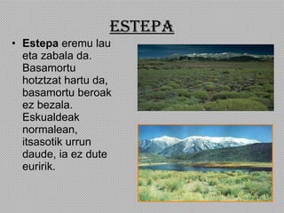 Estepa Estepa  eremu lau eta zabala da. Basamortu hotztzat hartu da, basamortu beroak ez bezala. Eskualdeak normalean, itsasotik urrun daude, ia ez dute euririk. 