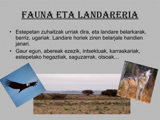 FAUNA ETA LANDARERIA Estepetan zuhaitzak urriak dira, eta landare belarkarak, berriz, ugariak. Landare horiek ziren belarjale handien janari. Gaur egun, abereak ezezik, intsektuak, karraskariak, estepetako hegaztiak, saguzarrak, otsoak… 