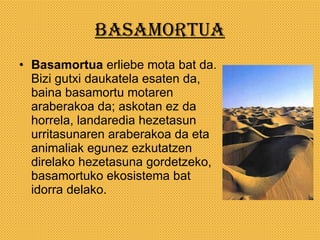 basamortua Basamortua  erliebe mota bat da. Bizi gutxi daukatela esaten da, baina basamortu motaren araberakoa da; askotan ez da horrela, landaredia hezetasun urritasunaren araberakoa da eta animaliak egunez ezkutatzen direlako hezetasuna gordetzeko, basamortuko ekosistema bat idorra delako. 