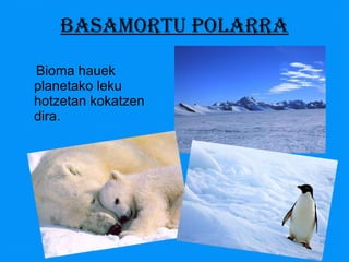 BASAMORTU POLARRA Bioma hauek planetako leku hotzetan kokatzen dira. 