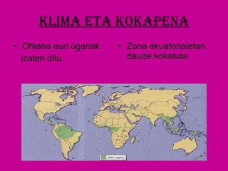 KLIMA ETA KOKAPENA Ohiana euri ugariak izaten ditu. Zona ekuatorialetan daude kokatuta. 