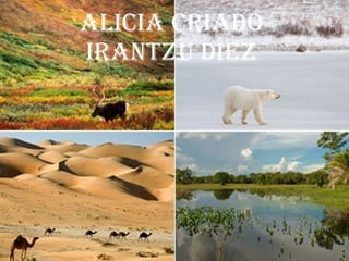 ALICIA CRIADO Irantzu diez 