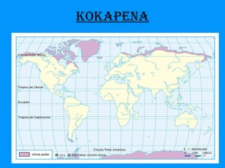 KOKAPENA 
