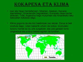 KOKAPENA eta klima Ipar eta Hego hemisferioan: Siberian, Alaskan, Kanada iparraldean, Groenlandia hegoaldean, Europako itsas-bazter artikoan, Txile, Argentina hego muturrean eta Antartikako leku batzuetan kokatuta dago. Klima gogorra da eta bizi baldintzak oso latzak. Zorua ia beti izoztuta dago. Udan bakarrik urtzen da izotza. Izoztutako lurzoru horrek ez du urik zurgatzen, eta uda garaian lurra zingiratzua eta putzuz beteta egoten da tundran.  