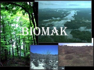 biomak 