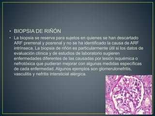Biopsia Riñon Insuficiencia renal aguda | PPTX