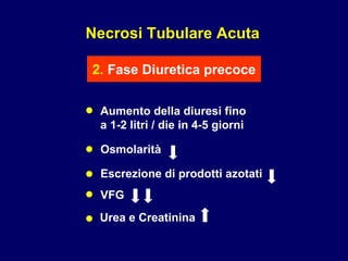 • Aumento della diuresi fino  a 1-2 litri / die in 4-5 giorni Necrosi Tubulare Acuta 2.  Fase Diuretica precoce • Osmolarità • Escrezione di prodotti azotati • VFG • Urea e Creatinina   