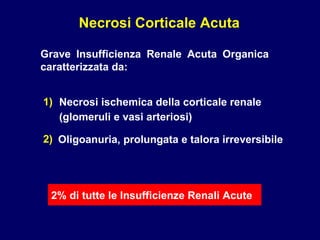 Necrosi Corticale Acuta Grave Insufficienza Renale Acuta Organica caratterizzata da: 1) 2) 2% di tutte le Insufficienze Renali Acute Necrosi ischemica della corticale renale  (glomeruli e vasi arteriosi)  Oligoanuria, prolungata e talora irreversibile 