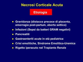 Necrosi Corticale Acuta Gravidanza (distacco precoce di placenta,  emorragia post-partum, aborto settico) Rigetto iperacuto nel Trapianto Renale Crisi emolitiche, Sindrome Emolitico-Uremica Gastroenteriti acute in età pediatrica Pancreatiti Infezioni (Sepsi da batteri GRAM negativi) • • • • • • Etiologia 