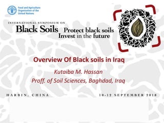 Overview Of Black soils in Iraq
Kutaiba M. Hassan
Proff. of Soil Sciences, Baghdad, Iraq
 