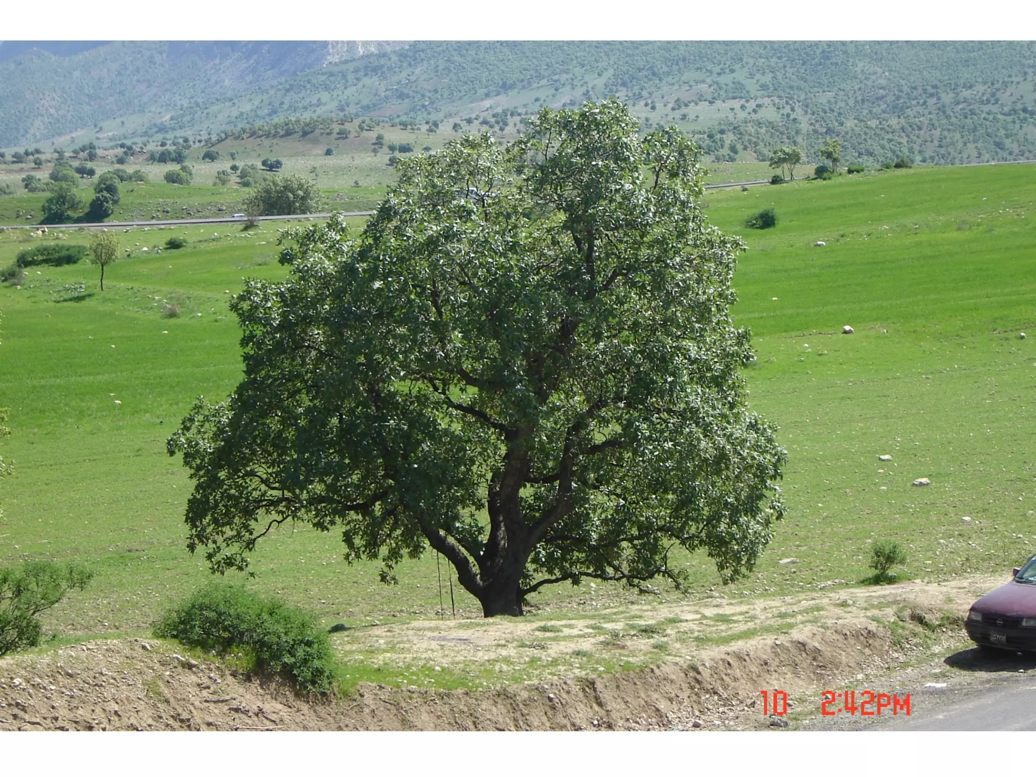 Iraqi Kurdistan Spring. | PPT | Photography | Arts and Crafts