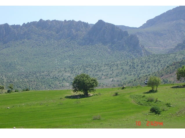 Iraqi Kurdistan Spring. | PPT
