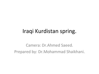 Iraqi Kurdistan spring. Camera: Dr.Ahmed Saeed. Prepared by: Dr.Mohammad Shaikhani. 