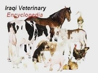 Iraqi veterinary encyclopedia
