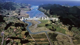 Urdaibai Estuary
 