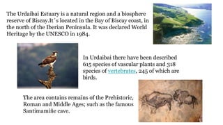 The Urdaibai Estuary is a natural region and a biosphere
reserve of Biscay.It´s located in the Bay of Biscay coast, in
the...