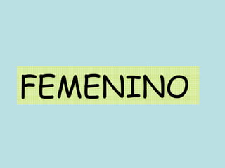FEMENINO 