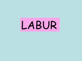 LABUR 