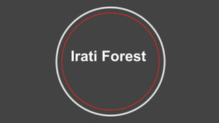 Irati Forest
 