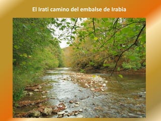 El Irati camino del embalse de Irabia
 