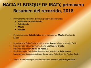 HACIA EL BOSQUE DE IRATY, primavera
Resumen del recorrido, 2018
• Previamente visitamos distintos pueblos de Iparralde:
• Saint Jean de Pied de Port
• Saint Palais
• Maule
• Tardetz
• Pernoctamos en Saint Palais y en el camping de Maule, Uhaitza, Le
Saison
• La entrada al Bois d’Iraty la hicimos por Larrau, al pie norte del Orhi:
• Subimos por Uthurrigoyhen... hasta Les Chalets d’Iraty.
• Bajamos hasta los Chalets de Pedro y
• Finalmente por Col de Burdincurutxeta, ermita de Saint Sauver
bajamos por Bassaburua/Lecumberry hacia Saint Jean de Pied de Port.
• Vuelta a Pamplona por donde habíamos entrado Valcarlos/Luzaide
 