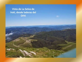 Vista de La Selva de
Irati, desde laderas del
Orhi
 