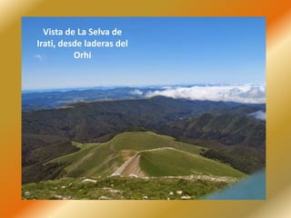 Vista de La Selva de
Irati, desde laderas del
Orhi
 