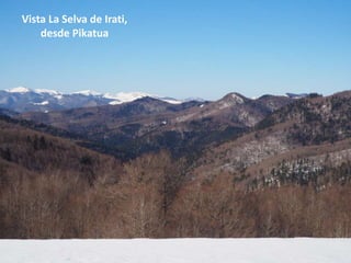 Vista La Selva de Irati,
desde Pikatua
 