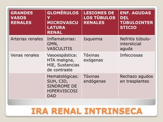 GRANDES            GLOMÉRULOS        LESIONES DE   ENF. AGUDAS
VASOS              Y                 LOS TÚBULOS   DEL
RENALES            MICROVASCU        RENALES       TÚBULOINTER
                   LATURA                          STICIO
                   RENAL
Arterias renales   Inflamatorias:    Isquemia      Nefritis túbulo-
                   GMN,                            intersticial
                   VASCULITIS                      aguda
Venas renales      Vasoespástica:    Tóxinas       Infecciosas
                   HTA maligna,      exógenas
                   HIE, Sustancias
                   de contraste
                   Hematológicas:    Tóxinas       Rechazo agudos
                   SUH, CID,         endógenas     en trasplantes
                   SINDROME DE
                   HIPERVISCOSI
                   DAD



          IRA RENAL INTRINSECA
 