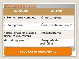 DIAGNOSTICO
       SANGRE                       ORINA

• Hemograma completo        • Orina completa

•   Ionograma               • Úrea, creatinina, Na, K

• Úrea, creatinina, ácido   • Proteinograma
úrico, calcio, fósforo
•Proteinograma              • Búsqueda de
                            eosinófilos


            ECOGRAFIA ABDOMINAL
 