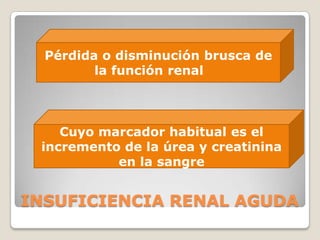 Pérdida o disminución brusca de
         la función renal



    Cuyo marcador habitual es el
 incremento de la úrea y creatinina
           en la sangre


INSUFICIENCIA RENAL AGUDA
 