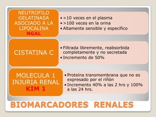 NEUTROFILO
 GELATINASA     • >10 veces en el plasma
ASOCIADO A LA   • >100 veces en la orina
 LIPOCALINA     • Altamente sensible y específico
    NGAL

                • Filtrada libremente, reabsorbida
CISTATINA C       completamente y no secretada
                • Incremento de 50%



 MOLECULA 1       • Proteína transmembrana que no es
                    expresado por el riñón
INJURIA RENAL     • Incremento 40% a las 2 hrs y 100%
    KIM 1           a las 24 hrs.



BIOMARCADORES RENALES
 