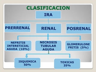 CLASIFICACION
                    IRA


PRERRENAL         RENAL         POSRENAL


  NEFRITIS        NECROSIS
                                GLOMERULONE
INTERSTICIAL      TUBULAR
                                 FRITIS (5%)
AGUDA (10%)        AGUDA



      ISQUEMICA              TOXICAS
         50%                   35%
 