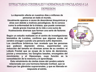 La depresión afecta en nuestros días a millones de
personas en todo el mundo.
Usualmente aparece a causa de desordenes bioquímicos y
otras son debido a motivos psicológicos. Se le conoce
como la enfermedad de la tristeza, que puede comenzar:
desde graves traumas de la vida a una suma de
frustraciones diversas que forman una serie de factores
negativos.
Según un estudio realizado en el centro de investigaciones
biomédica de Londres, confirma que algunas zonas del
cerebro encogen cuando una persona sufre depresión.
Los científicos británicos han revelado que las personas
que padecen depresión clínica, experimentan una
reducción del tamaño en diversas zonas de su cerebro: el
Lóbulo Frontal que se ocupa de la toma de decisiones,
juicios y emociones; los Ganglios basales, encargados del
movimiento; y el Hipocampo, cuya función es la
consolidación de la memoria y el aprendizaje.
Este retraimiento de ciertas áreas del cerebro estaría
relacionada con una hormona llamada Cortisol, que se
libera por las glándulas suprarrenales, y que es liberada en
respuesta al estrés.
 