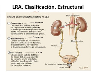 LRA. Clasificación. Estructural
 