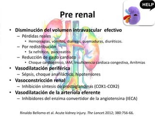 Pre renal
• Disminución del volumen intravascular efectivo
– Pérdidas reales
• Hemorragias, vómitos, diarreas, quemaduras, diuréticos.
– Por redistribución
• Sx nefrótico, pancreatitis
– Reducción de gasto cardiaco
• Choque cardiogénico, IAM, Insuficiencia cardiaca congestiva, Arritmias
• Vasodilatación periférica
– Sépsis, choque anafiláctico, hipotensores
• Vasoconstricción renal
– Inhibición síntesis de prostaglandinas (COX1-COX2)
• Vasodilatación de la arteriola eferente
– Inhibidores del enzima convertidor de la angiotensina (IECA)
Rinaldo Bellomo et al. Acute kidney injury. The Lancet.2012; 380:756-66.
 